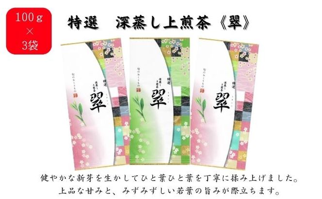 ハリオ「茶茶急須」＆特選 深蒸し上煎茶《翠》（100g×3袋）と八十八夜ティーバッグ（5g×30個）
