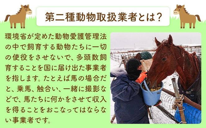 【返礼品なし】引退馬余生支援寄附 一般社団法人オープンセサミアライブ 熊本県 南阿蘇村 馬 ウマ 支援 競走馬 引退馬 生活支援 動物愛護 保護 返礼品なし 寄附 牧場 オープンセサミ アニマルサンクチュアリ---sms_opumasien_r7_5000---
