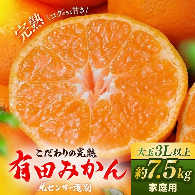 有田みかん 約7.5kg 大玉3L以上 有機質肥料100% ＼光センサー選別／ 農家直送 ※北海道・沖縄・離島への配送不可◇※2025年11月中旬～2026年1月上旬頃に順次発送予定