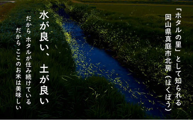 【2026年先行予約】令和8年産新米 岡山ほたる米 きぬむすめ精米5kg (岡山県真庭産)【KF-R003-01】
