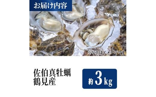佐伯真牡蠣 鶴見産 (約3kg) 牡蠣 カキ 新鮮 小分け 生牡蠣 生カキ カキフライ 鍋 大分県 佐伯市【生食可】【EW062】【Up】