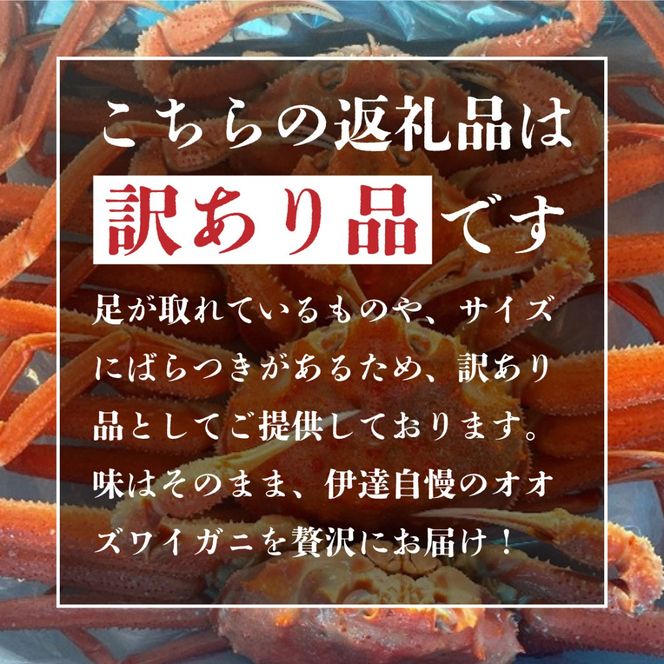 オオズワイ姿（訳あり品）2kg｜かに カニ ズワイガニ オオズワイ【ysk-008】