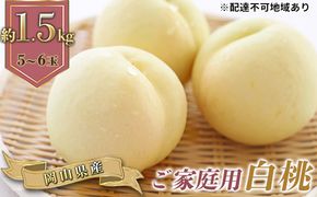 桃 2026年 先行予約 ご家庭用 白桃（晩生種）5～6玉 合計約1.5kg もも モモ 岡山県産 国産 フルーツ 果物 ギフト