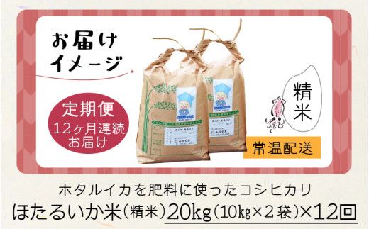 【訳あり】ほたるいか米（精米20kg）×12回 計240kg【12ヶ月定期便】