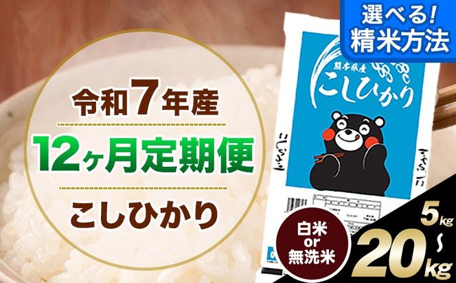 【12ヶ月定期便】 無洗米 も 選べる 定期便 こしひかり 白米 or 無洗米 選べる精米方法 定期便 内容量 5kg 10kg 20kg 白米 精米 無洗米 熊本県産(南阿蘇村産含む) 単一原料米 南阿蘇村《お申込み翌月から出荷》---kh7tei_113600_5kg_mo12_mna_h---
