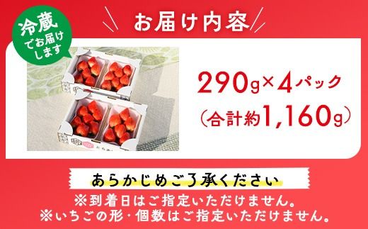 いちご（とちあいか） 290g×4パック 1.16kg以上｜先行予約 数量限定 栃木県 果物 くだもの フルーツ 苺 イチゴ ※2024年11月下旬頃～2025年3月下旬頃に順次発送予定