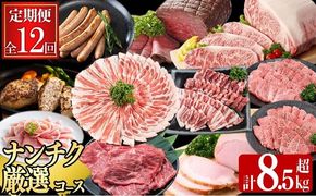 【定期便・全12回】ナンチクのお肉を楽しむ定期便！ナンチク厳選コース！ 総量8.5kg超! t0165-002
