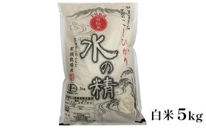 有機米こしひかり「水の精」白米5kg お米 コシヒカリ 