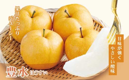 【先行予約】高知県土佐市産 梨（豊水）約2kg 5～6玉 〈2026年8月下旬頃～9月中旬頃発送〉 ほうすい なし ナシ 2キロ 国産 フルーツ 果物 くだもの デザート スイーツ 旬 甘い 果汁たっぷり ジューシー【株式会社とさもん】[BQAE016]