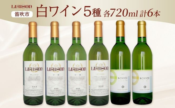 白ワイン 5種 6本 セット 720ml ヴィンテージ 甲州 サンセミヨン シュールリー 甲州 甲州 Liaison NOVICE リエゾン ノヴィス フルボトル ワイン お酒 飲み比べ 山梨 日川中央葡萄酒 送料無料 山梨県 笛吹市 177-7-35