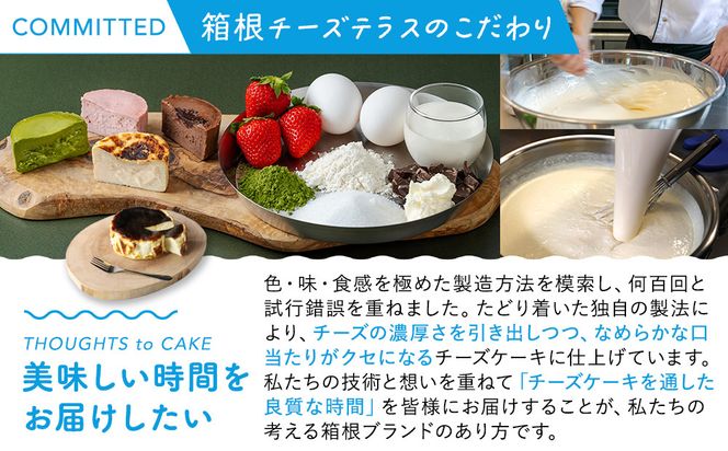 箱根発！なめらか濃厚バスクチーズケーキ 箱根チーズテラス・カプチ 【プレーン6個セット】 142069_JF002