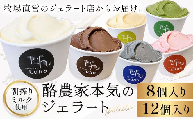 アイス スイーツ ジェラート 酪農家本気のジェラート 8個 または 12個 《30日以内に出荷予定(土日祝除く)》岡山県 笠岡市 ミルク チョコレート チョコ いちご 抹茶 バナナ 黒ごま---F-45---