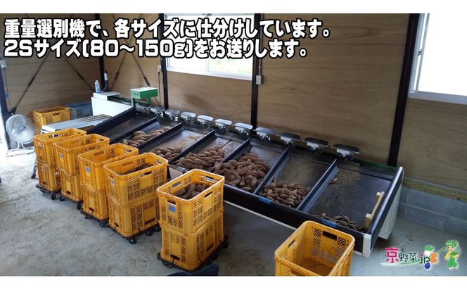 小さい紅はるか（京都産） 8kg　DJ00013