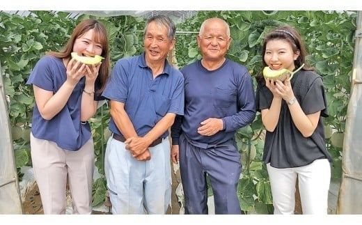 完熟 アールスメロン 3玉 2026年産 先行予約 メロン マスクメロン 青肉 果物 フルーツ 茨城県産 期間限定 数量限定 [AF004ci]