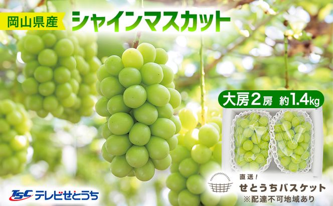 ぶどう 2026年 先行予約 シャインマスカット 大房 2房 約1.4kg ブドウ 葡萄 岡山県産 国産 フルーツ 果物 直送！せとうちバスケット 
