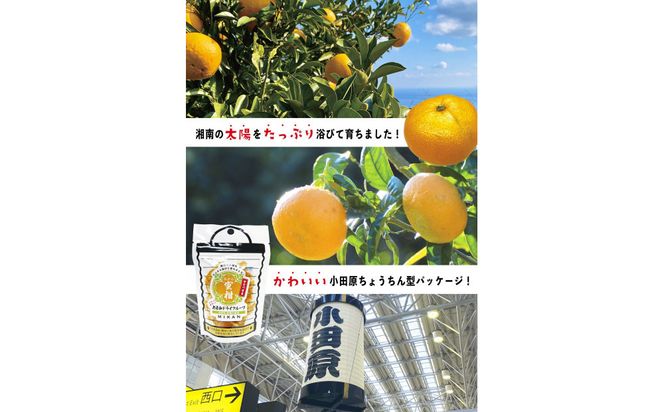 無添加ドライフルーツ(キウイ)16g×2袋入【 神奈川県小田原市 】 142069_HU002