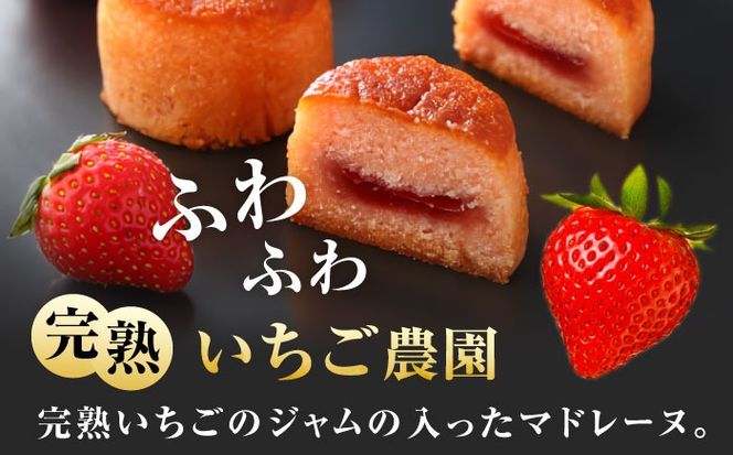 焼き菓子 いちごのマドレーヌ いちご農園 6個入り マドレーヌ 洋菓子 いちご 愛西市 / エール・ブランシュ 【配達不可：離島】 [AEAU005]
