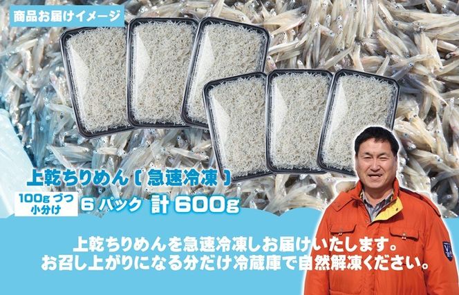 G2183 上乾ちりめんしらす 600g【小分け 100g×6P シラス しらす sirasu 海鮮 人気 おすすめ 産地直送】