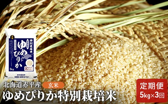 玄米 北海道赤平産 ゆめぴりか 5kg 特別栽培米 【3回お届け】 米 北海道 定期便 お米 ふるさと納税 