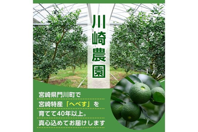 ＜先行予約受付中！2026年6～7月の間に発送予定＞期間限定！門川町産へべす(1kg)柑橘 果汁 国産 特産品 宮崎県 門川町【AM-1】【川崎農園】