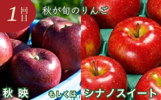 【3回定期便】小布施屋のりんご食べ比べ定期便 3回コース ［小布施屋］フルーツ 果物 りんご 林檎 定期便 信州産 長野県産 令和8年産 【2026年10月～2027年1月発送】 ［C-501］