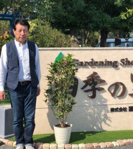 苗木 キンモクセイ 鉢植え 白プラ鉢 植物 ガーデン インテリア ※配送不可:北海道、沖縄、離島 