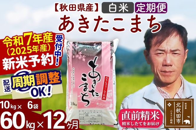 ※令和7年産 新米予約※《定期便12ヶ月》秋田県産 あきたこまち 60kg【白米】(10kg袋) 2025年産 お届け周期調整可能 隔月に調整OK お米 みそらファーム|msrf-11312