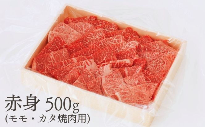 伊勢水沢牛 焼肉用 500g （赤身 モモ・カタ）/ 国産 牛肉 焼肉 ブランド牛 BBQ バーベキュー モモ カタ モモ肉 上質 冷凍  冷凍便 三重県産 黒毛和牛 牛 精肉 切り落とし 赤身 お取り寄せ ヘルシー ギフト 贈答 うまみ 最優秀賞 家庭用 自宅用 和牛 おすすめ 人気 三重県 四日市市 ふるさと納税