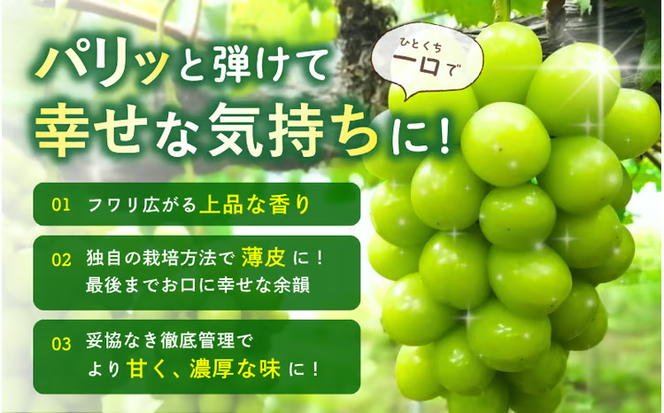 【訳あり】2026年予約！ 岡山県産シャインマスカット 林ファミリーのシャインマスカット 約2kg（約3～5房） / ぶどう ブドウ 葡萄 岡山 真庭市 果物 フルーツ 新鮮 人気 数量限定 家庭用 お試し たっぷり ぶどう専門 【hfbd022-02】