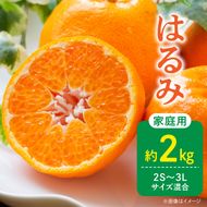 【2027年先行予約】家庭用 訳あり はるみ 和歌山 有田 2S～3Lサイズ混合 約2kg_DZ6219