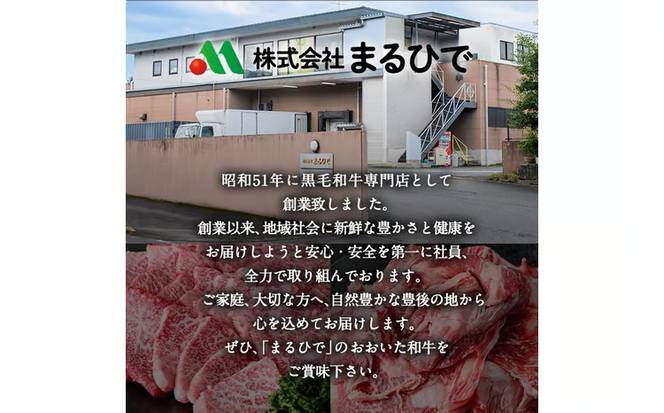 おおいた和牛 サーロインステーキ ソース付き (計800g・200g×4枚) サーロイン ステーキ 国産 4等級 冷凍 和牛 牛肉 大分県 佐伯市【DP74】【 (株)まるひで】