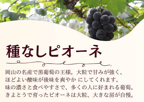 【きよとうファーム】特選 種なしピオーネ２房入/計1.3kg~ (岡山県産)【KF-B006-03】