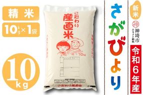 【令和6年産 新米】さがびより 精米 10kg【米 10kg お米 コメ おいしい ランキング 人気 国産 ブランド 地元農家】(H061365)