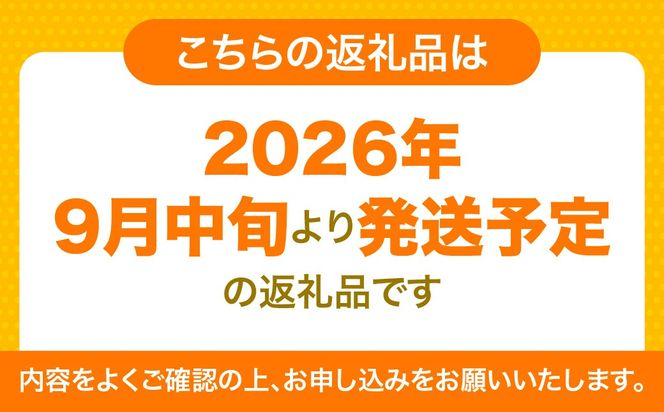 【先行予約】【訳あり】極早生みかん 5kg（2026年9月中旬から発送予定）IKTF029