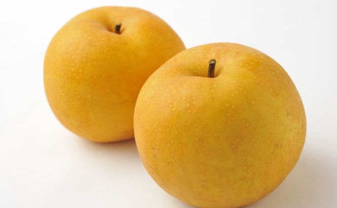 梨 季節の朝倉の梨 2.5kg 2-6玉 配送不可 離島 果物 フルーツ デザート おやつ 福岡県産 朝倉市産 秋の味覚 幸水 豊水 秋月 新高 南水 