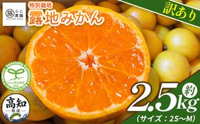 みかん 【2026年10月以降順次配送分】ふじ農園の露地みかん 訳あり品 2.5kg (2S～M) - 国産 蜜柑 ミカン 柑橘 果物 フルーツ 訳アリ ご家庭用 家庭用 自宅用 ふじ農園 高知県 香南市 常温 fn-0012