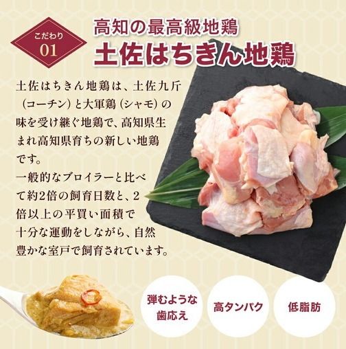 土佐はちきん地鶏 グリーンカレー 9箱 180g チキンカレー おすすめ curry かれー かれーらいす 惣菜 おかず 夕食 詰め合わせ セット レトルトカレー レトルト食品 ご当地グルメ 国産 地域限定 カレー 人気 カレー 辛口 カレーセット 高知県 室戸市