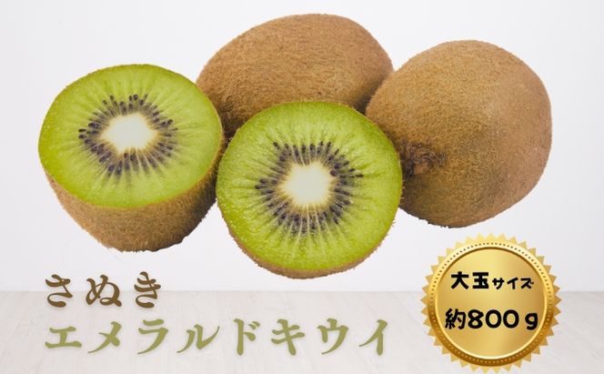 キウイ さぬきエメラルドキウイ (貴重な大玉サイズ) 約800g 果物 フルーツ