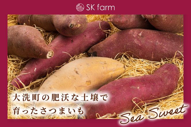 冷凍焼き芋 『Sea Sweet』 2.5kg 品種おまかせ詰め合わせ  3～5種類 詰合せ【 紅はるか / きみまろこ / 紫いも / 紅まさり / 紅あずま / 栗かぐや 】 真空パック 個包装 冷凍 焼き芋 さつまいも やきいも スイーツ 産地直送