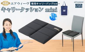 エアウィーヴ キャリークッションmini 232238_T232