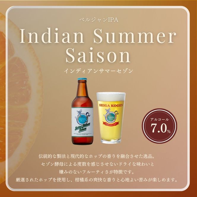 父の日 定期便 3ヶ月 志賀高原ビール24本セット 【 クラフトビール 志賀高原ビール 飲み比べセット 玉村本店 ビール 詰め合わせ セット 地ビール 飲み比べ 黒ビール IPA ipa ペールエール 酒 お酒 長野 定期 お楽しみ 3回 】