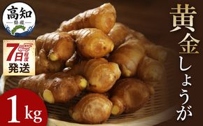 黄金しょうが 約1kg 【7日程度で発送】 早い スピード発送 7日程度 早く 届くXnb-0009
