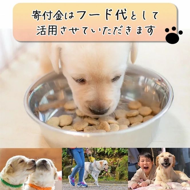 【返礼品相当額で盲導犬の育成を支援】支援額4,500円(記念品あり)エコバッグなど盲導犬協会オリジナルグッズ進呈[行きたい場所に安心していける社会に…]