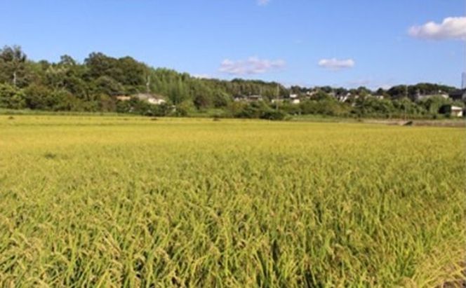 杲流 純米吟醸 夢吟香 720ml  2本セット お酒 日本酒 純米吟醸酒 