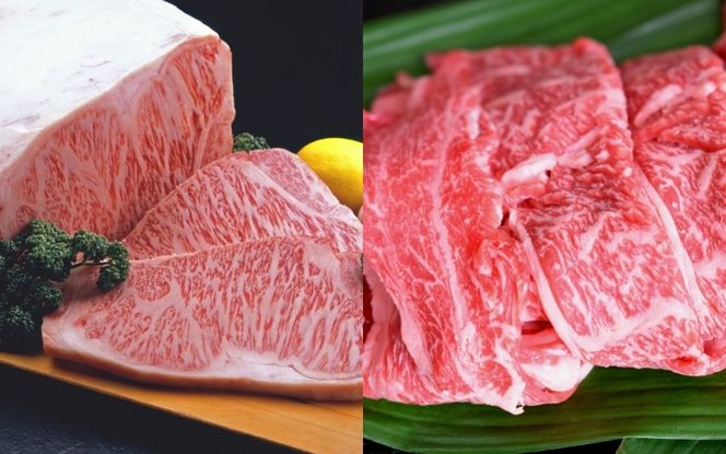 【3ヶ月連続】忍者ビーフ（伊賀牛）サーロインステーキ 約200g×5枚、肩ロ－スすきしゃぶスライス 約1kg cook-tkb0001