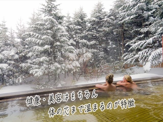ロックウッド・ホテル＆スパ：期間限定【スノーリゾート】天然温泉に浸かる旅　1泊2食付（平日限定：スタンダードツイン お二人様ご招待） 宿泊券 旅行 