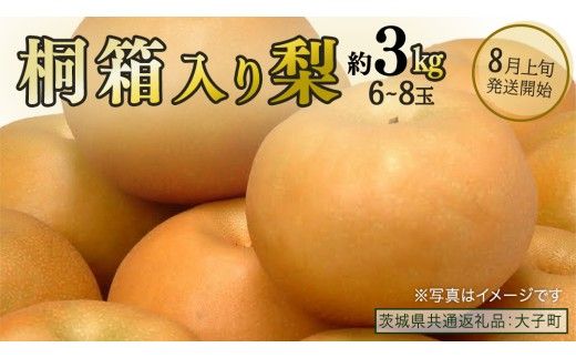  【桐箱入り】梨 約3kg (6～8玉) 【2026年8月上旬発送開始】(茨城県共通返礼品：大子町) なし 果物 くだもの フルーツ おまかせ 旬