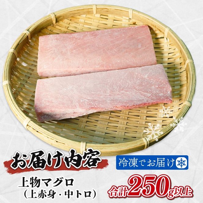 天然 マグロ 2種 250g 以上 刺身 上物 まぐろ 鮪 赤身 中トロ 冷凍 静岡県 藤枝市