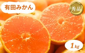 和歌山県産 有田みかん 1kg 秀品【ミカン 有田みかん 和歌山 有田 秀品】※2026年10月中旬～2027年1月中旬頃に順次発送予定【smt003A】