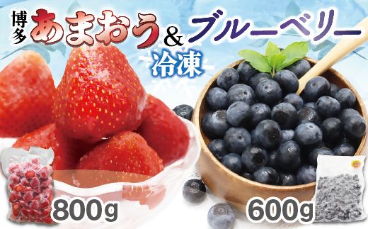 【2026年7月より順次発送】冷凍あまおう800g ＆ 冷凍ブルーベリー600gセット 計1.4kg【JAほたるの里】_HA1653